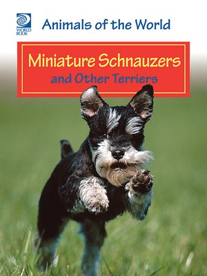 cover image of Miniature Schnauzers and Other Terriers